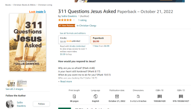 <span>311 Questions Jesus Asked:</span> 311 Questions Jesus Asked